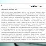 La gota que rebalsa el vaso